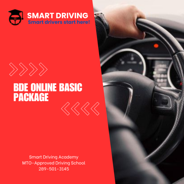 BDE Online Basic Package